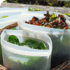 Conservation salade biotybag