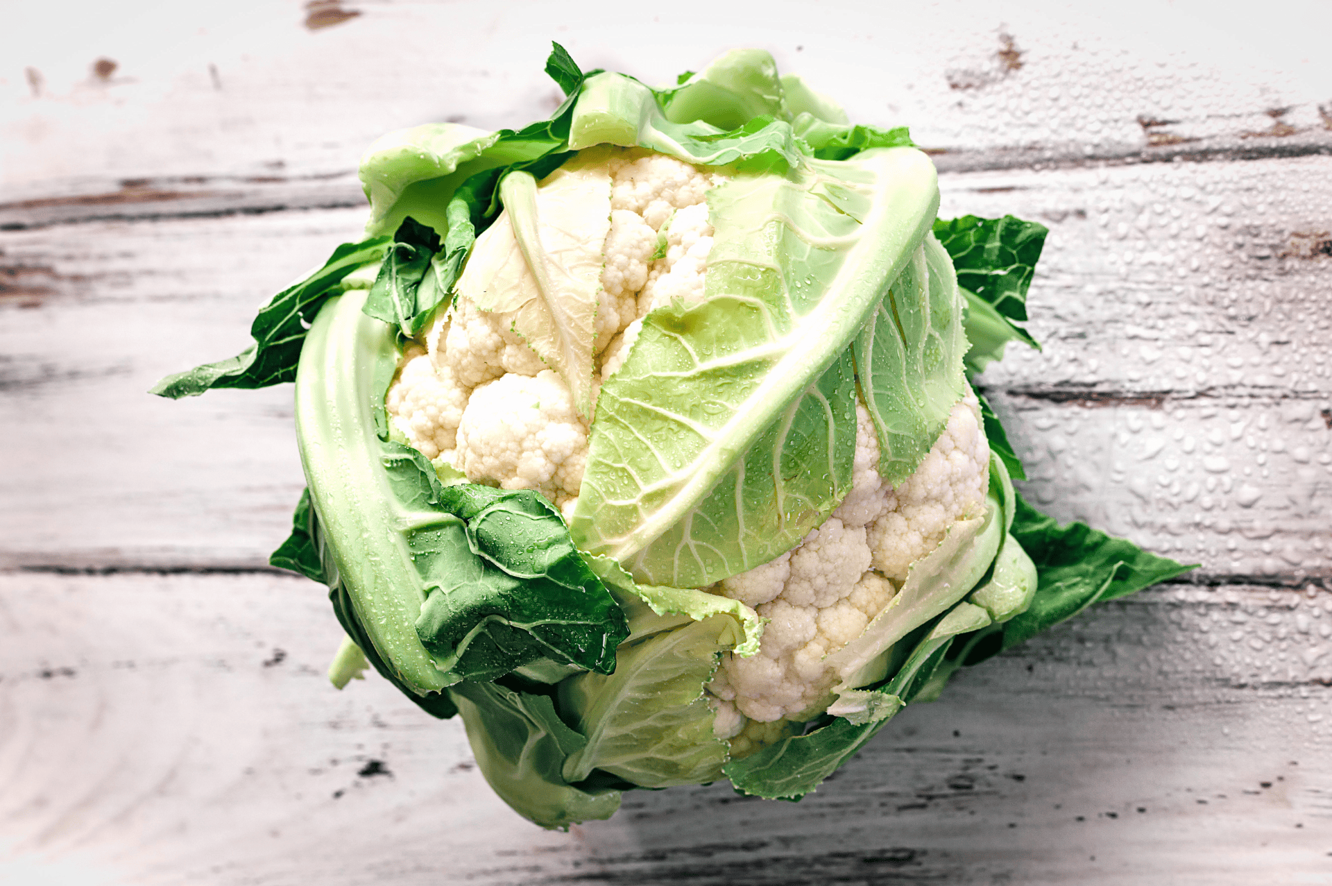Choux-fleur à blanchir avant mise sous vide